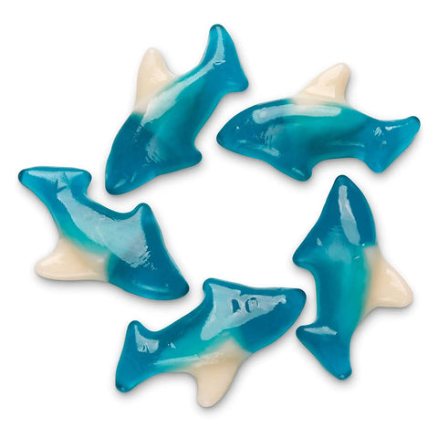 Blue Gummy Sharks Diamond Head Taffy Co